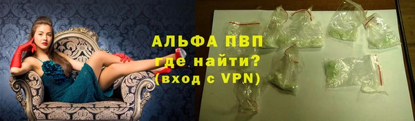 гашик Арсеньев