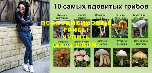 Альфа ПВП Аркадак