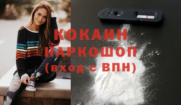 гашик Арсеньев