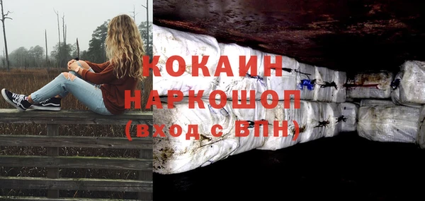 гашик Арсеньев