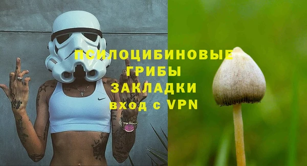 Альфа ПВП Аркадак