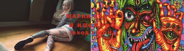 Альфа ПВП Аркадак