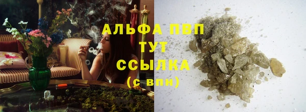гашик Арсеньев